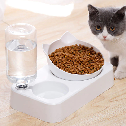 Cat Bowl - Food & Water